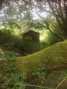 Building Your Emotional Resilience Toolkit – Top 25 Ideas To Try For Improved&nbsp;Wellbeing