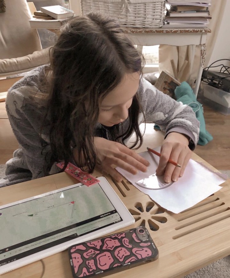 HOME EDUCATION – Fostering Independent&nbsp;Learning