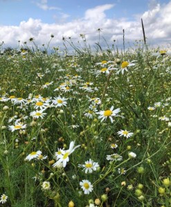 ABIDE – A Poem For Lost But Everlasting Love