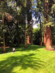 Moving Towards Perimenopause – Why I Liberated My Body From Mirena&nbsp;Coil