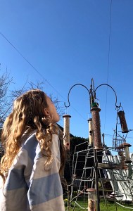 Here’s The Thing – How Home Education Works &&nbsp;Why