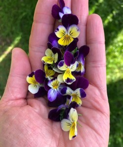 Looks Like Doing&nbsp;Nothing