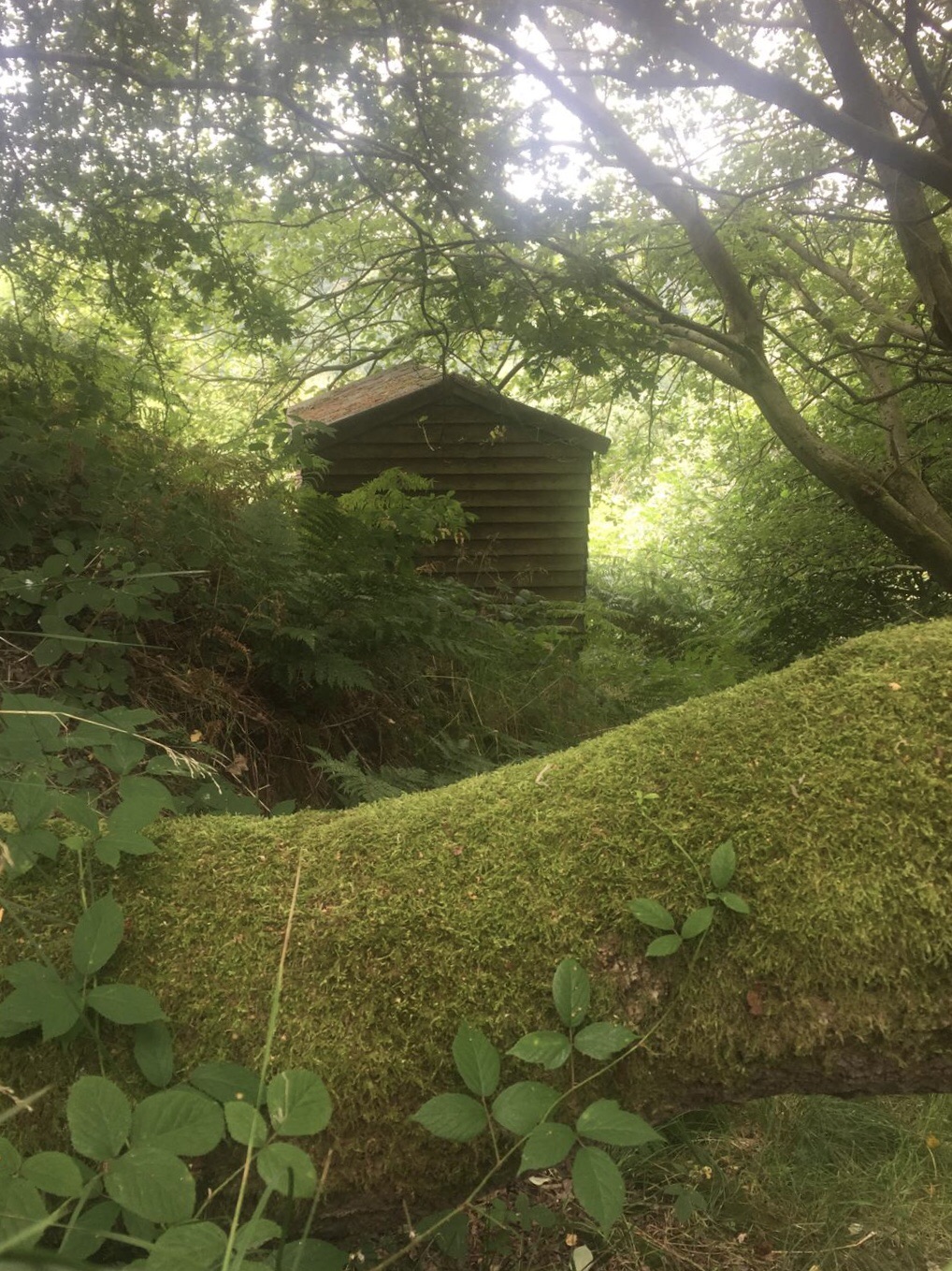 FRIEND – A Poem for Kindred Spirits & Dreamers On Friendship and&nbsp;Homecoming