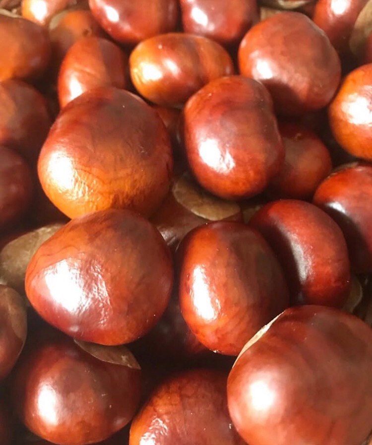 MABON – A Poem For The Autumn&nbsp;Equinox