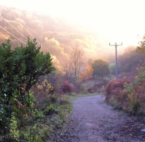 LOST AND FOUND – How to Heal and Mindfully Rediscover Your True&nbsp;Self