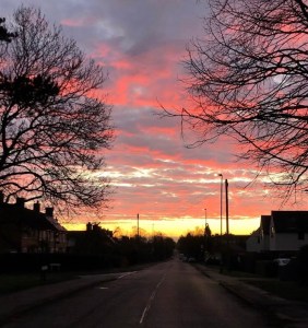 PENULTIMATE – Nature Poetry For November