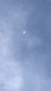 POETRY – MOON PATH     (for Menopause &&nbsp;Perimenopause)